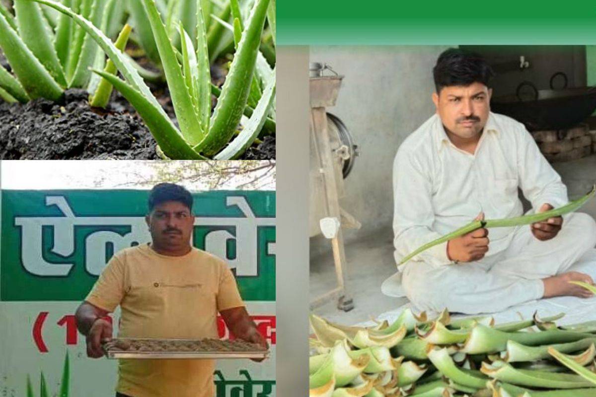 Although growing aloe vera looked like a good idea, Ajay lacked the resources needed to get started.