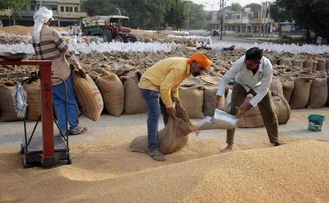 Punjab Agriculture Department has appealed to farmers to develop their own wheat seeds for the next cropping season.