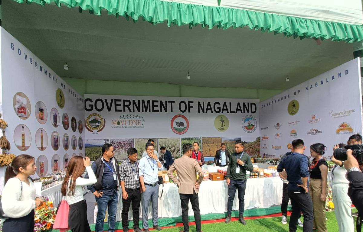 Government of Nagaland's Stall