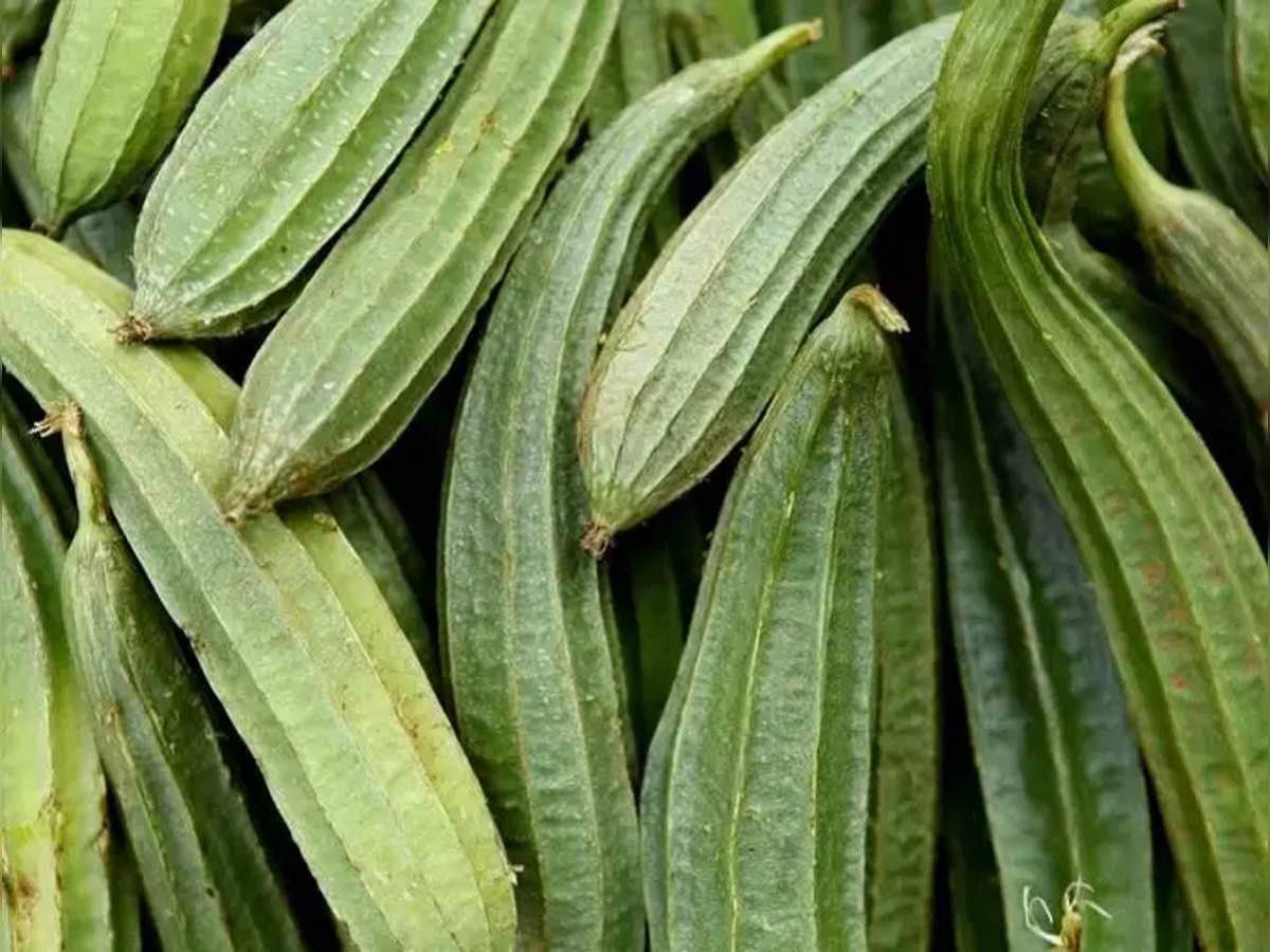 Ridge gourd is naturally low in calories and has very low levels of cholesterol and saturated fat