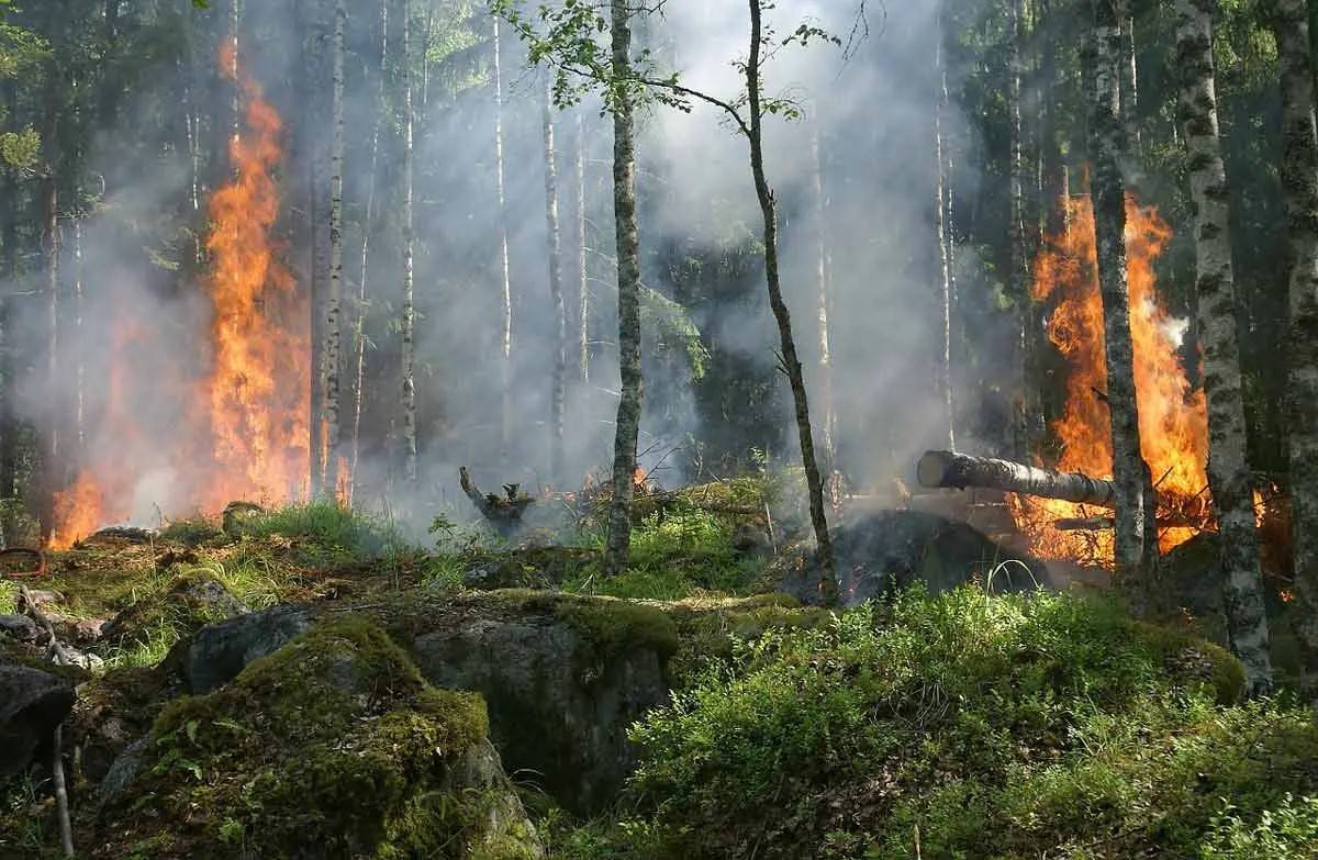 Chile's Interior Ministry issued a red alert for the Nuble and Biobio regions