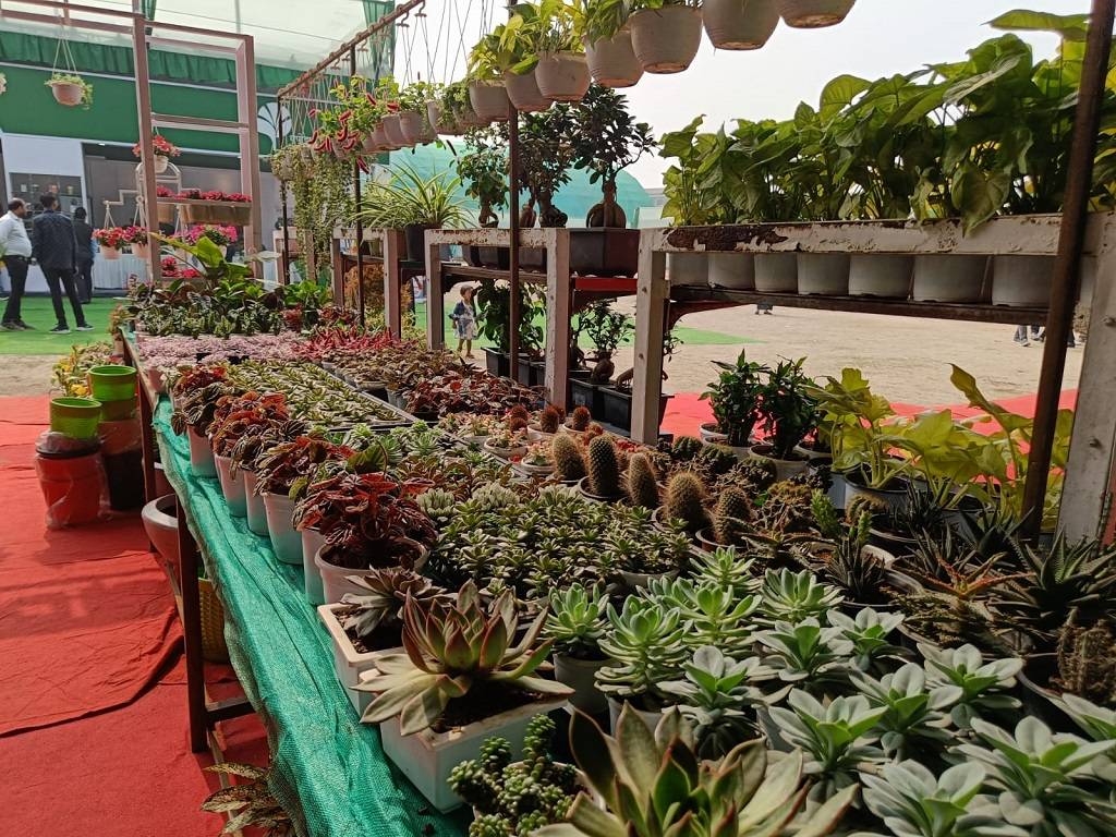 Displays at 2nd day of 1st Expo One Organic North East 2023