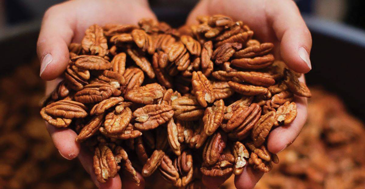 Georgia produces nearly a third of America's pecans