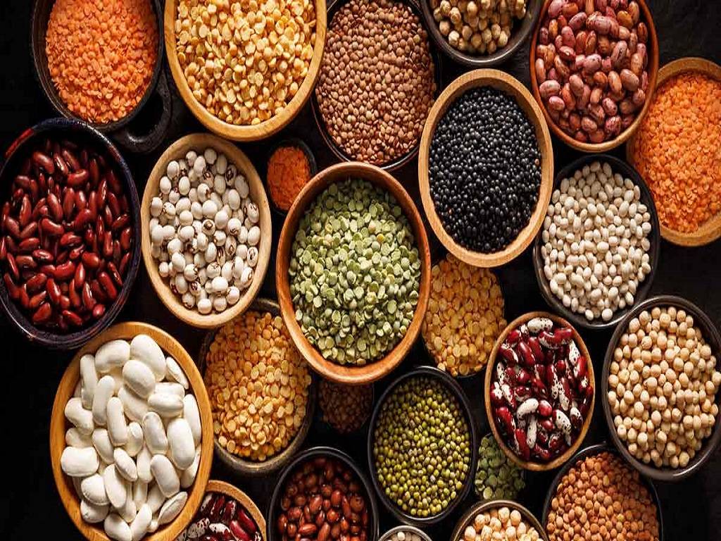 Pulses are an excellent source of plant-based protein, making them a valuable food for vegetarians and vegans