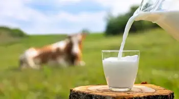 “India Ranks 1st, Contributes 24% of Global Milk Production”: Parshottam Rupala