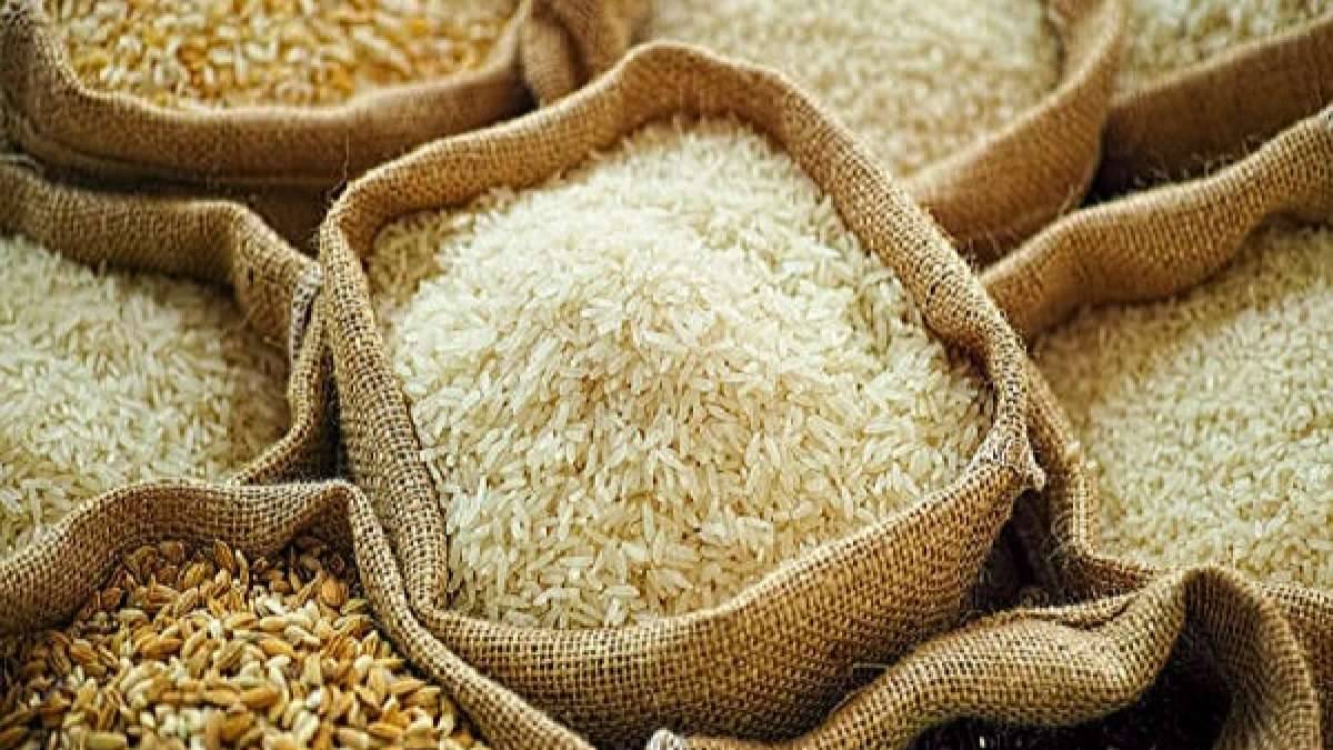 Shipments of basmati rice increased to 3.2 million tonnes (mt) in the current fiscal year from 2.74 mt the previous year.
