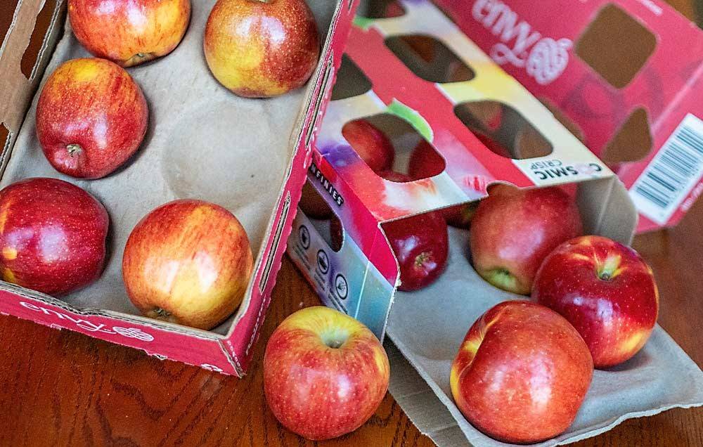 Department would soon make a decision on the Universal carton for apple packaging so that farmers could sell equal-weight fruit in the market.