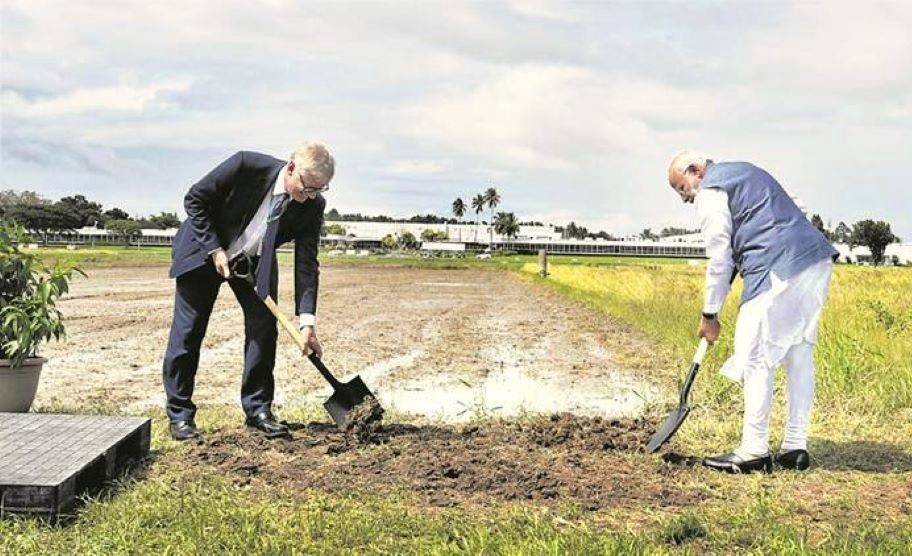 IRRI is home to the largest collection of paddy germplasm in the world