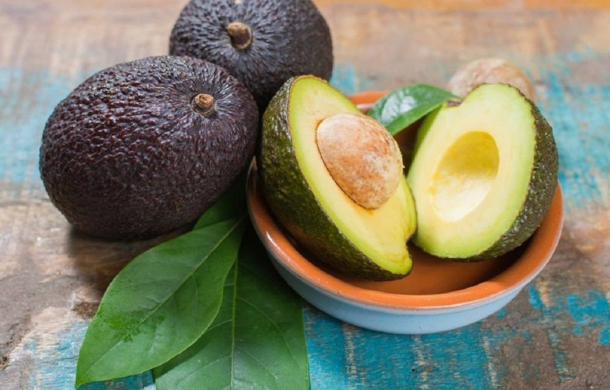 Guacamole is made from avocado, therefore, both of them have similar health benefits