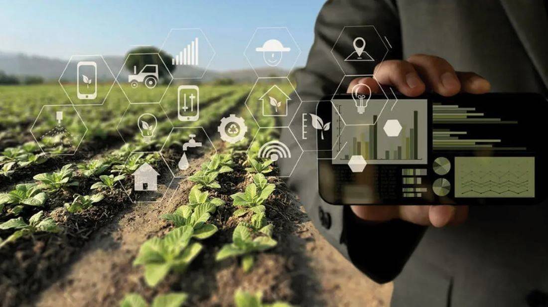 Use of AI-based pest and disease detection using handheld sensor devices can significantly reduce drudgery and cultivation costs by 20%