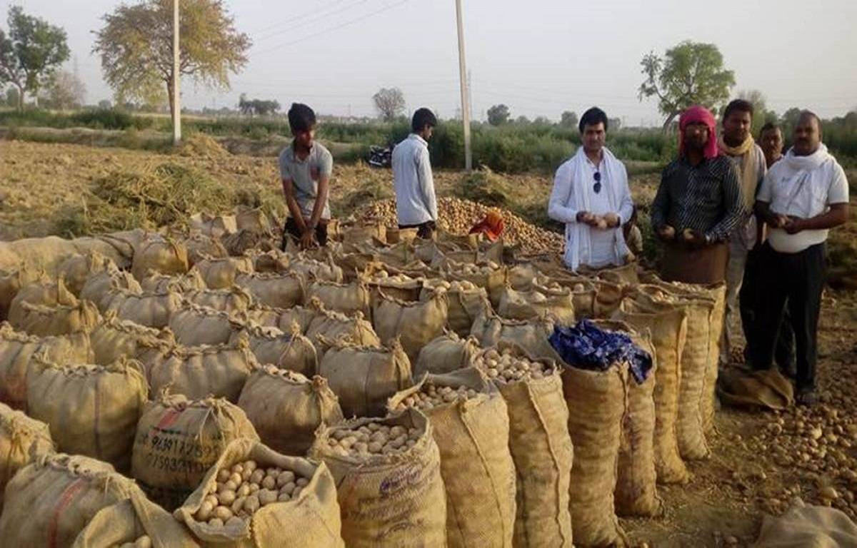 Potato prices have hit a disappointing low this season in Punjab.