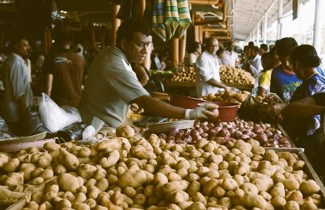 It is very difficult for people in urban areas to differentiate between Hemangini potato & Chandramukhi potato (Representational Image)
