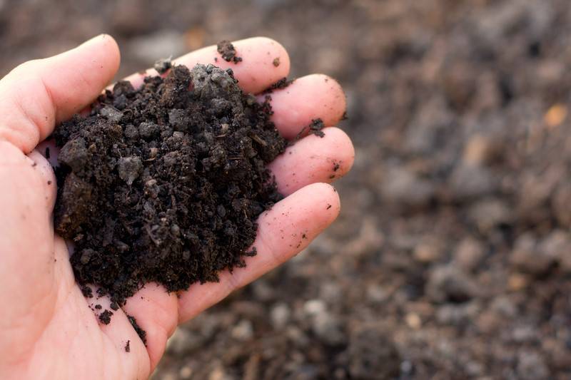 Increased soil organic carbon enhances soil structure or tilth, indicating greater physical stability
