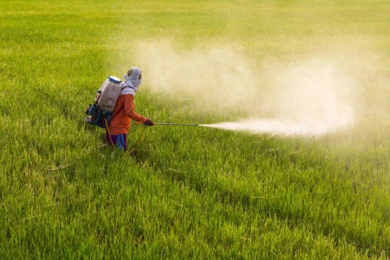 Pesticides and fertilisers, though beneficial to plants, may also be toxic.
