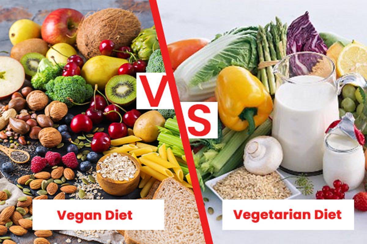 A plant-based diet mostly consists of plants. All animal products are completely excluded from a vegan diet