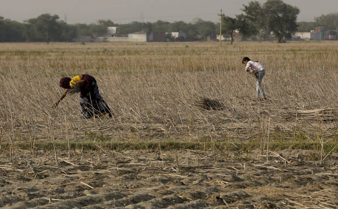 Many farmers in Jharkhand rely solely on rain to cultivate their crops