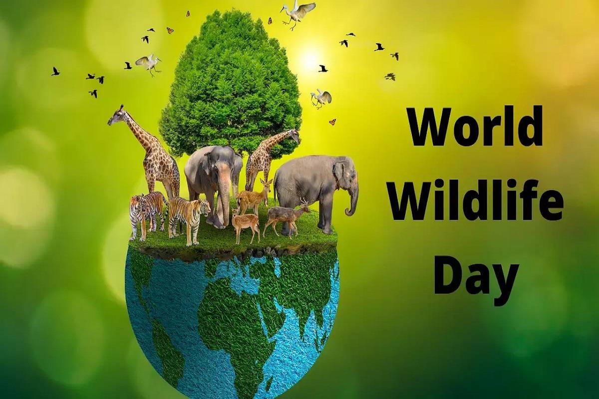 world-wildlife-day-quiz-quiz-on-world-wildlife-day-quiz