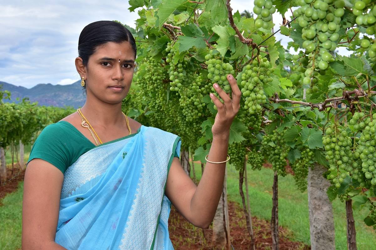 At KVK Theni, she was a part of a training program at Seepalakottai that was conducted for Malligai Horticulture Farmer Producer Group (FPG) members.