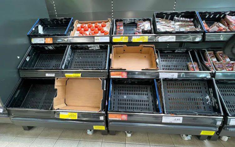 Picture of empty tomato shelves in a UK supermarket