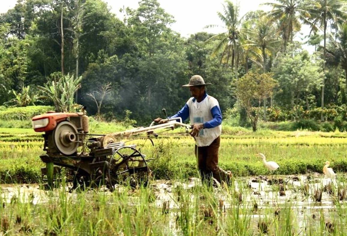 Western Province of Sri Lanka currently has the lowest reported yield of paddy cultivation