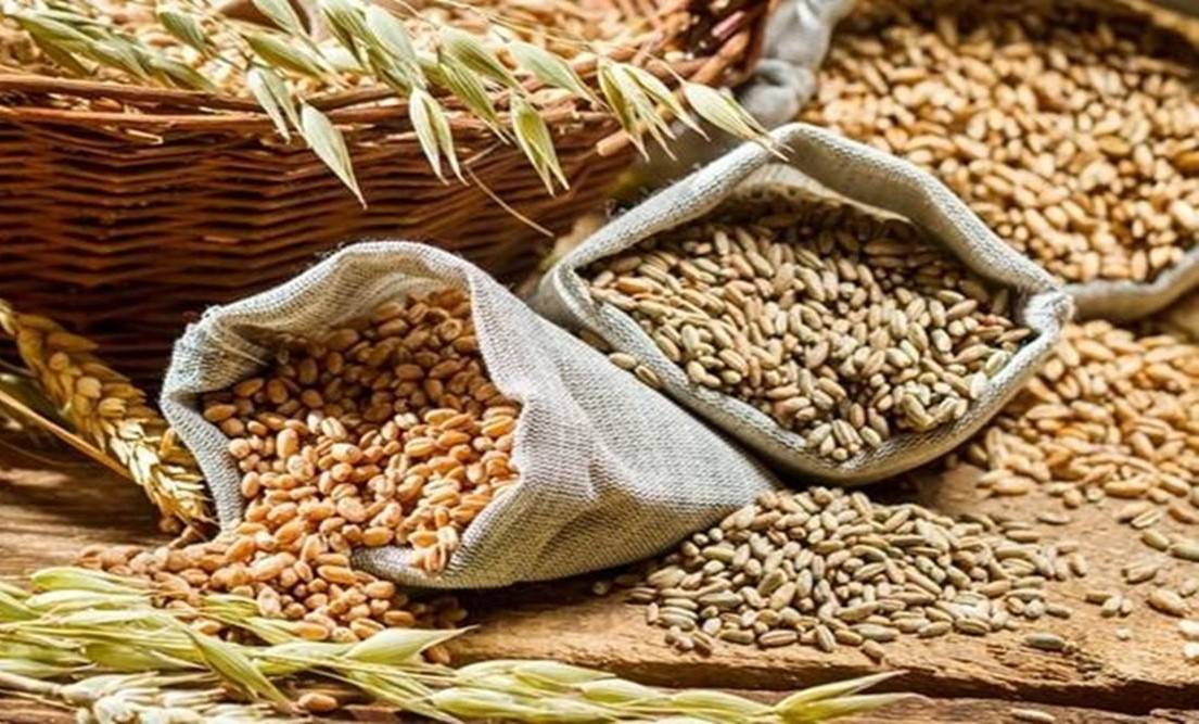 ICAR-IARI has developed six new varieties of wheat which are helping in the production of wheat.