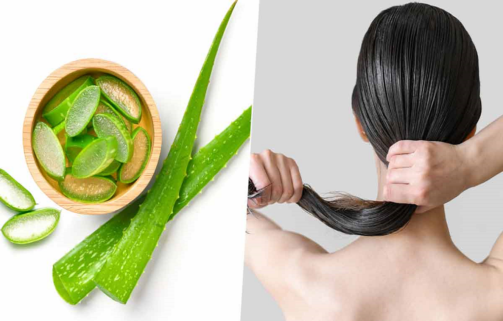 Aloe Vera: Your One-Stop Homemade Remedy for Hair Woes