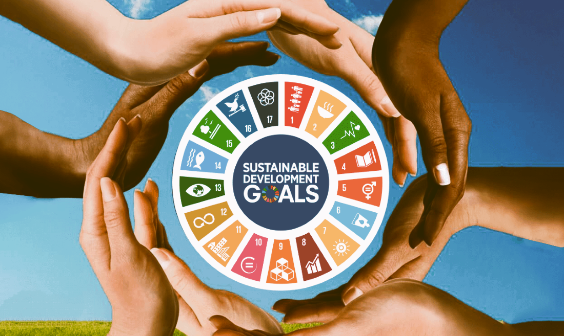 The Sustainable Development Goals (SDGs) aim at transforming the world