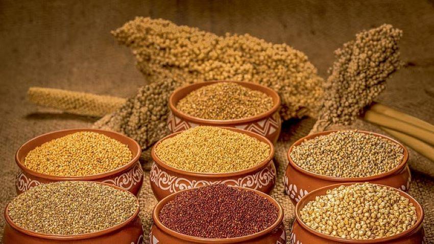 Millet Bank has assisted over 500 farmers & rural entrepreneurs in post-harvesting and food processing in less than 18 months since its inception.