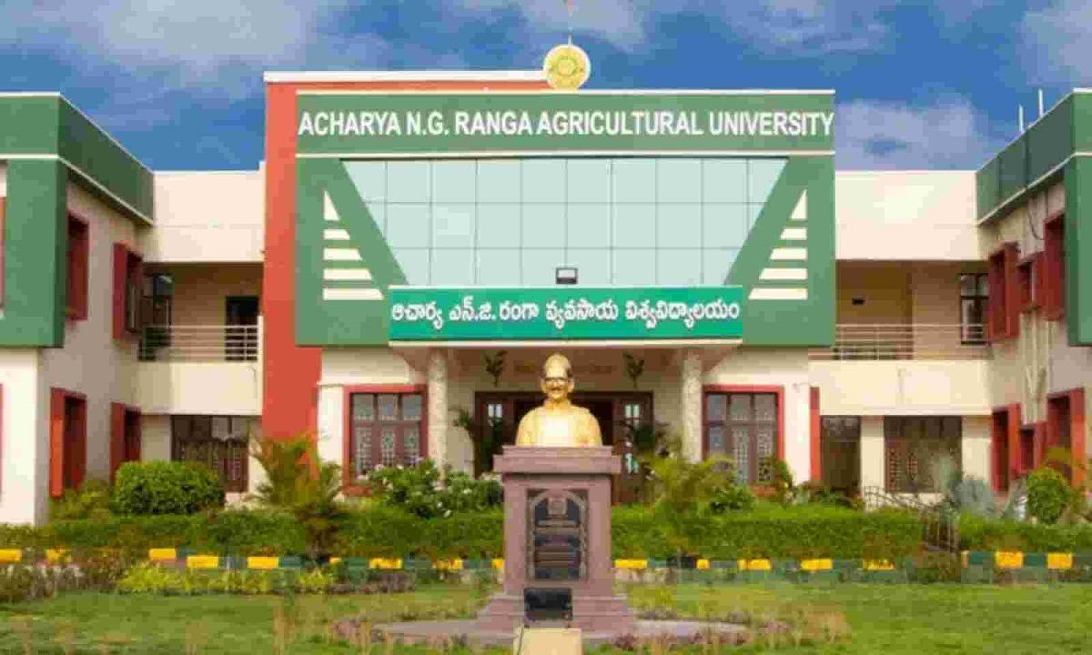 Acharya N. G. Ranga Agricultural University (ANGRAU) is accepting applications for Subject Matter Specialist position