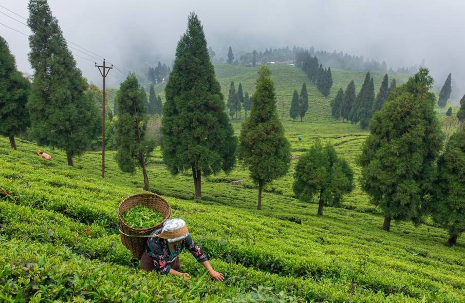 Area covered by water bodies, grassland, and agricultural land has largely been converted into built-up areas and sand or dry river bed areas.