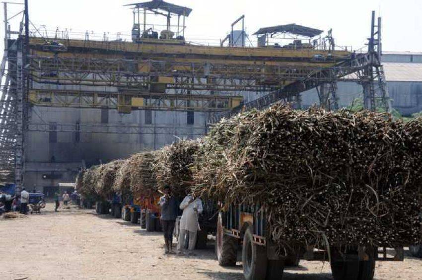 Palwal mill lost around Rs 50 lakh due to poor product sales over the last two years.