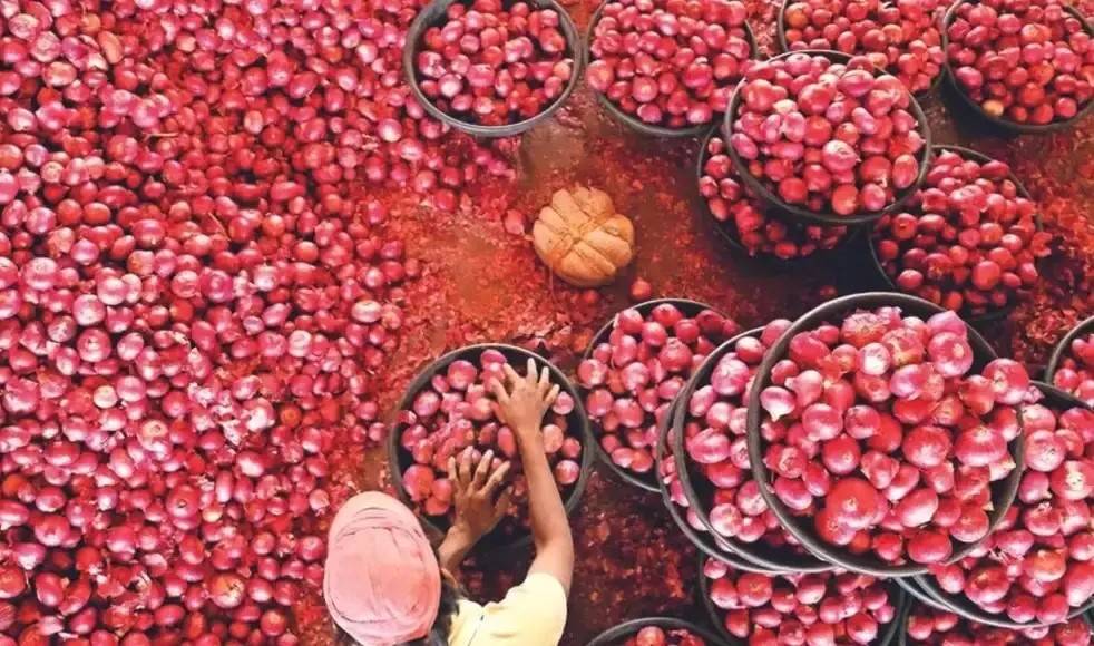 Onions fetched a minimum price of Rs 200 per quintal, a maximum price of Rs 800 per quintal