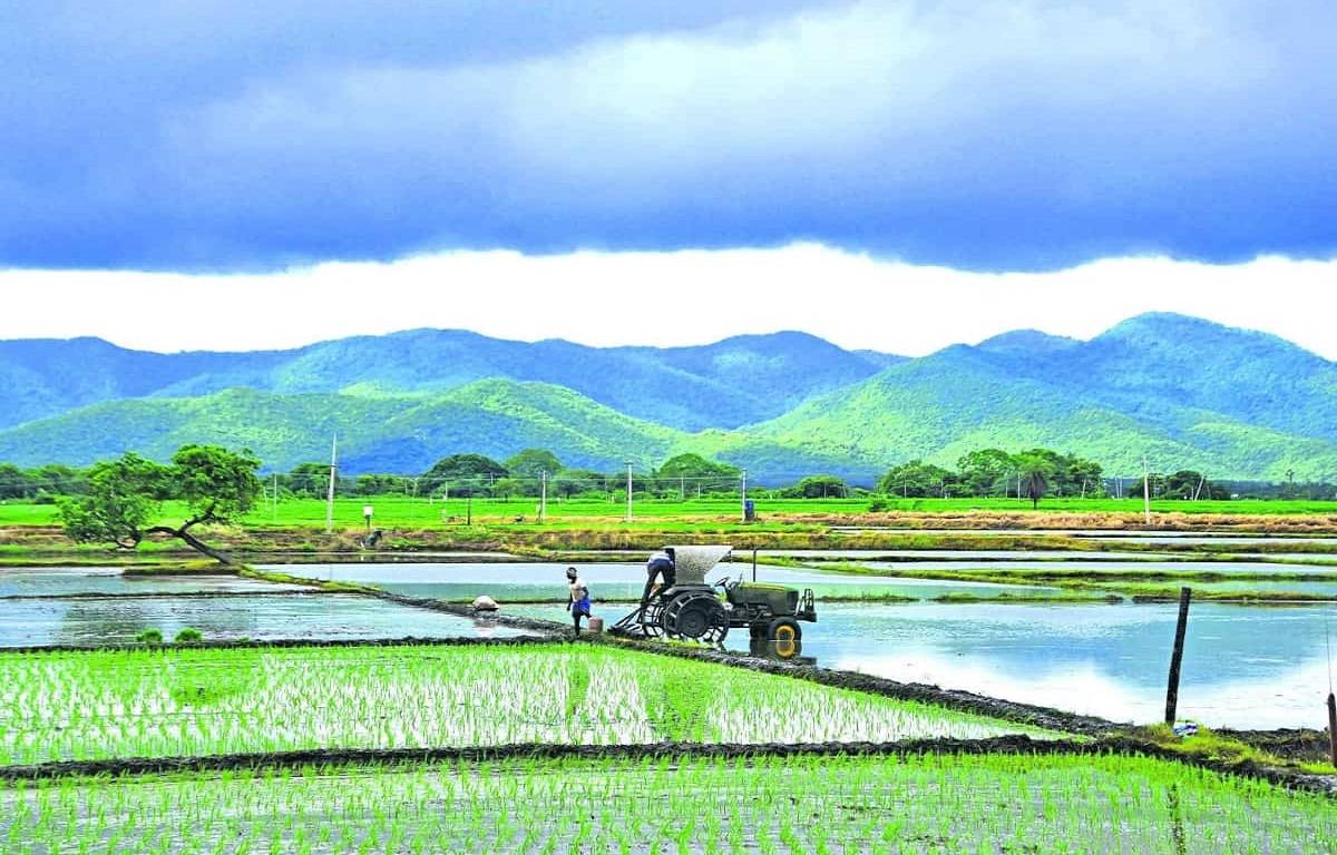 Rythu Bima Has Covered 65 Lakh Farmers in Telangana