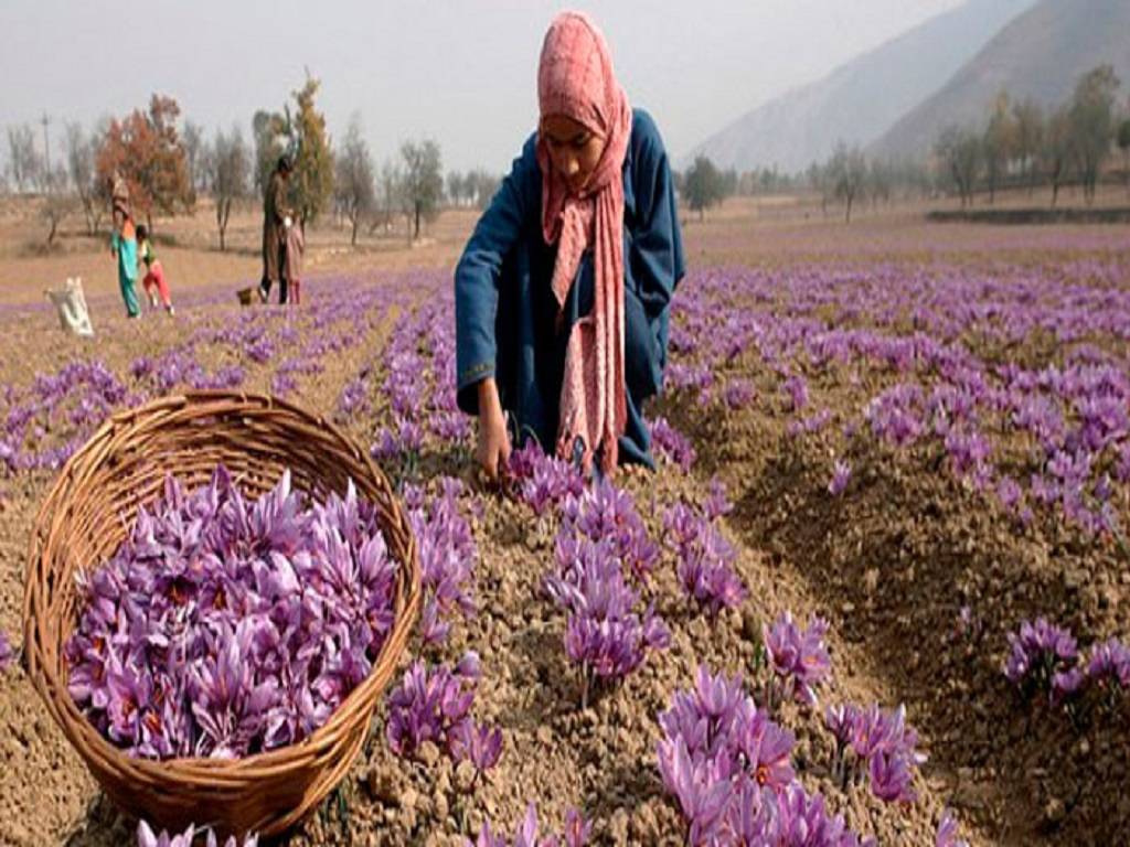 The International Fund for Agricultural Development (IFAD) is set to provide $100 million to support agriculture in Jammu and Kashmir.