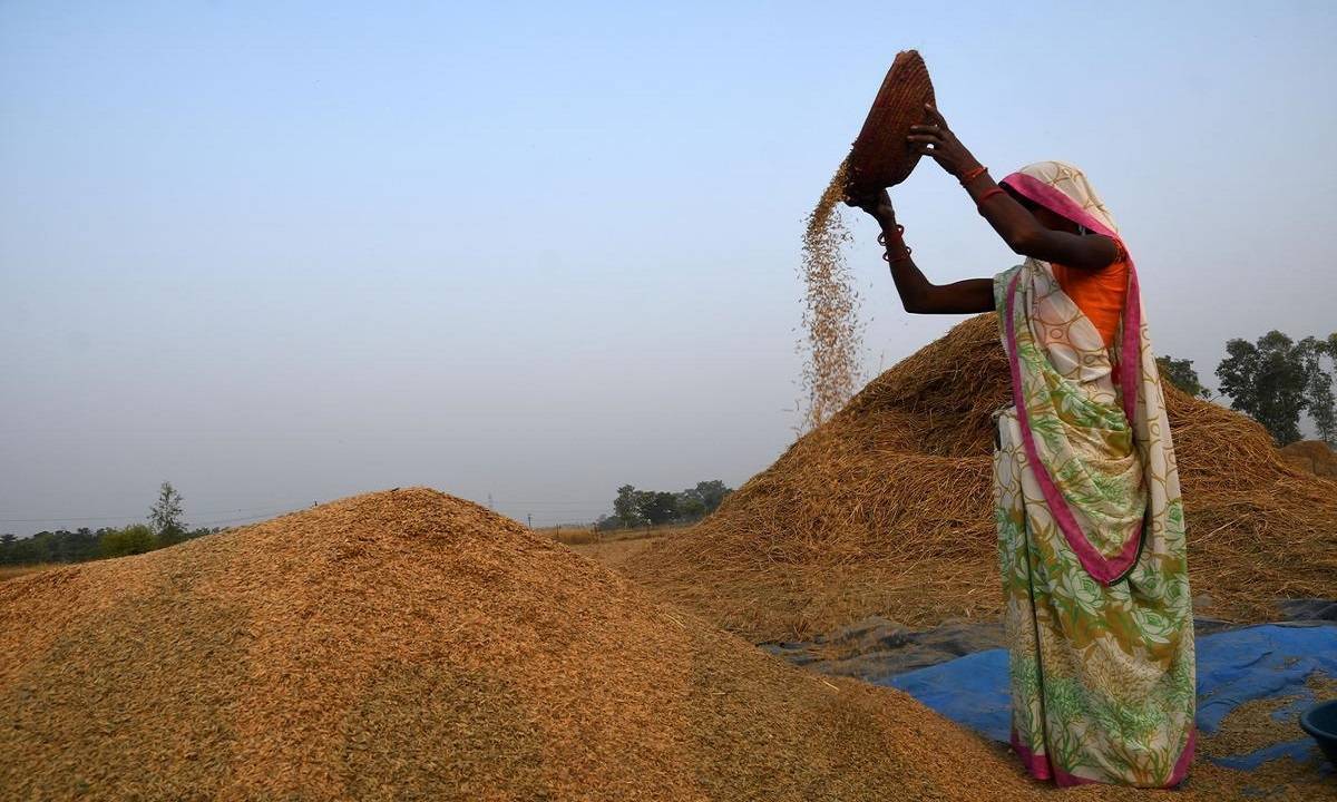 The state governments were requested to establish procurement centers for coarse grains in producing districts, particularly in tribal regions.