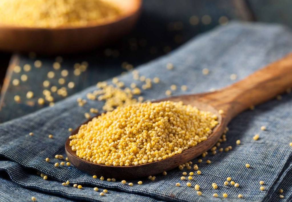Awareness was raised and people were encouraged to incorporate millets in their daily diets.