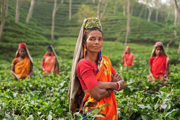 Samarth Krishi programme aims to make the agricultural sector's digital transformation more inclusive