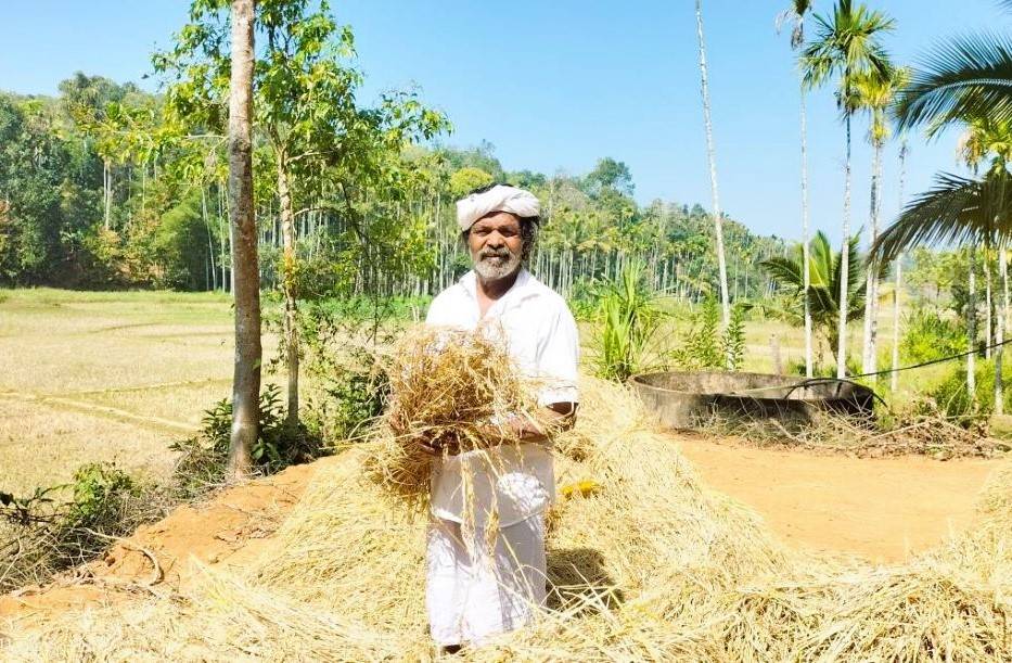 Raman is known to have saved up to 58 varieties of paddy seeds that were once grown in Wayanad but are now on the verge of extinction