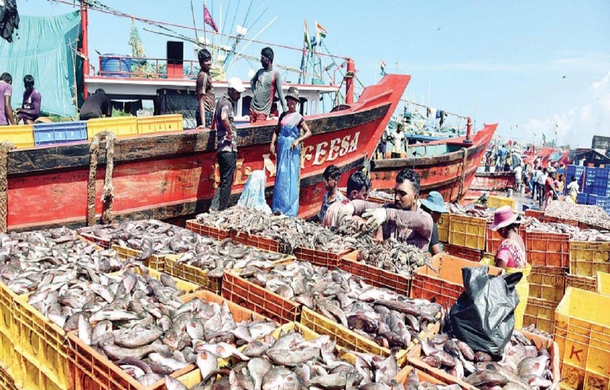 The Fisheries Department will host "theera sadassu" at 47 designated locations in the coastal constituencies