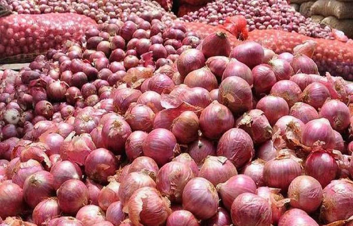 The first nine months of the current fiscal year saw a 49% jump in onion exports.