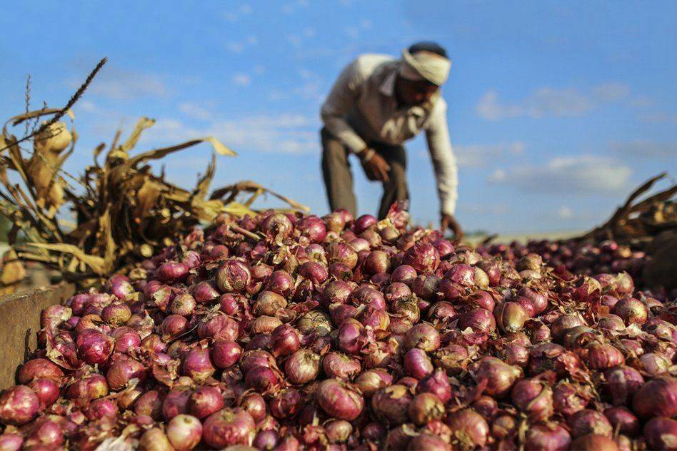 NAFED has opened 40 procurement centres where farmers can sell their stock and receive payment online