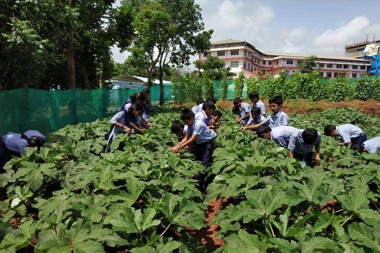 Agriculture should be made a mandatory subject in schools and colleges