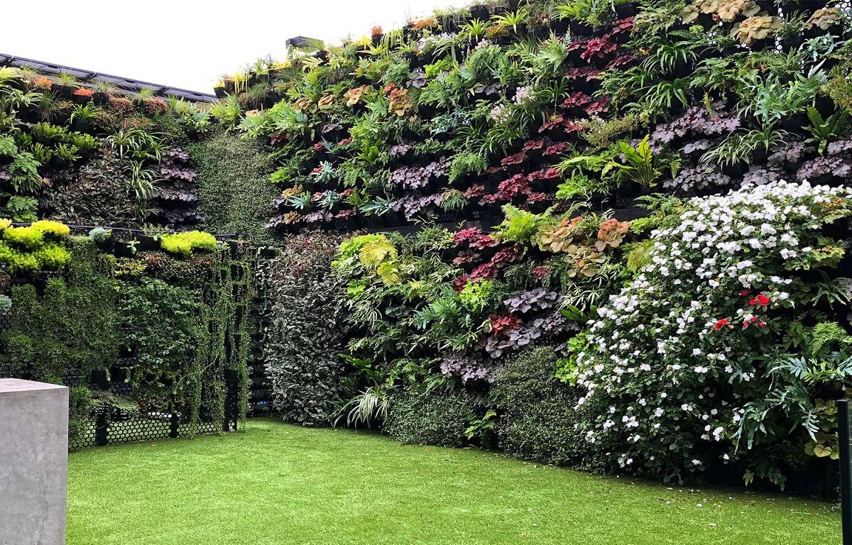 Vertical gardening can be highly cost-effective