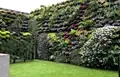 10 Super Easy Vertical Garden Ideas for Small Spaces 