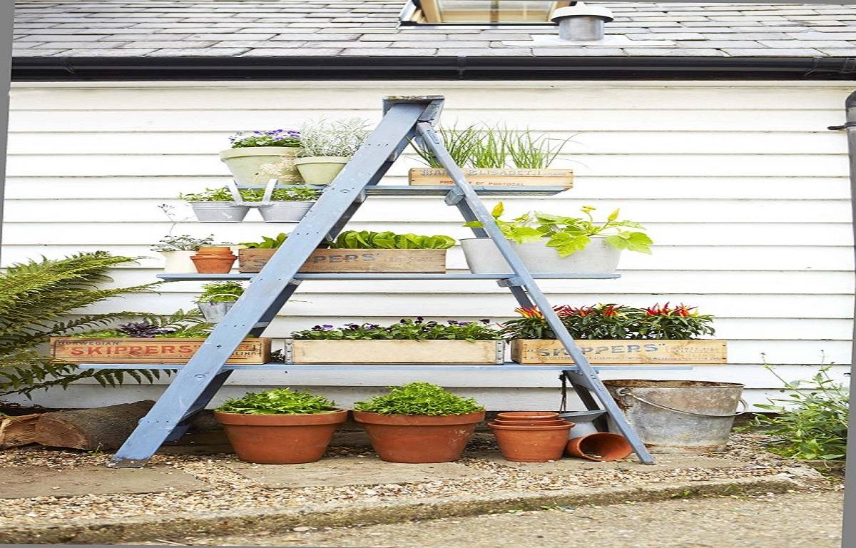 Ladder planter