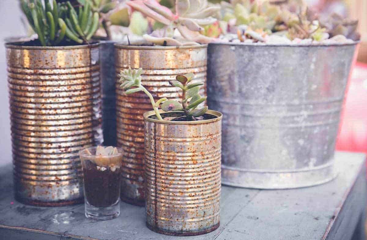 Tin Can Garden