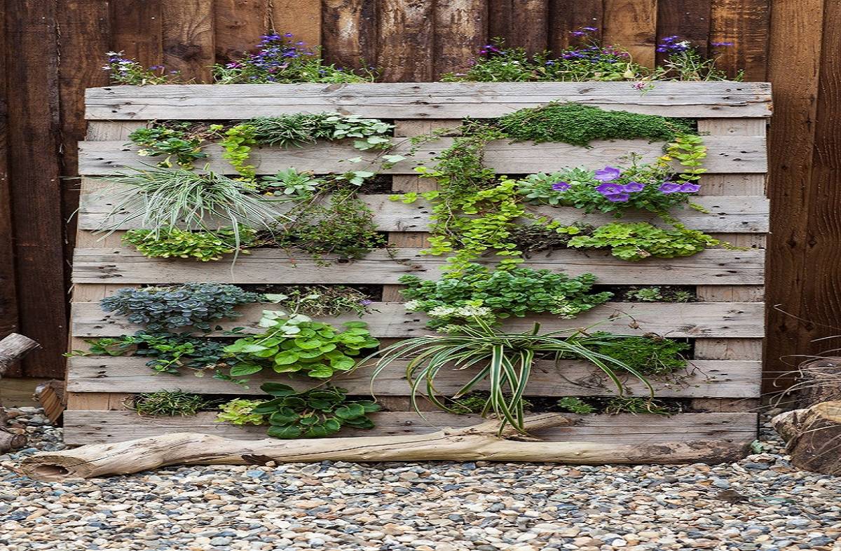 Pallets Wall Planter