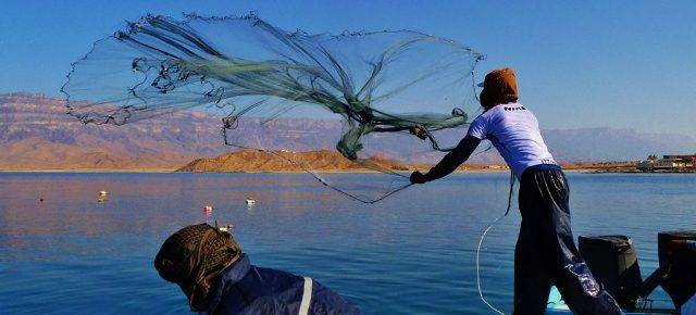 Fish Farmer