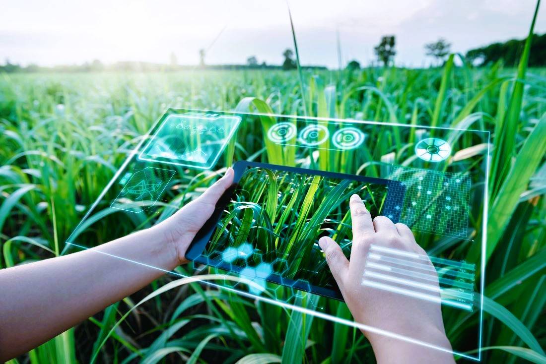 Niqo Robotics’s mission is to make AI powered agricultural robots reliable as well as accessible