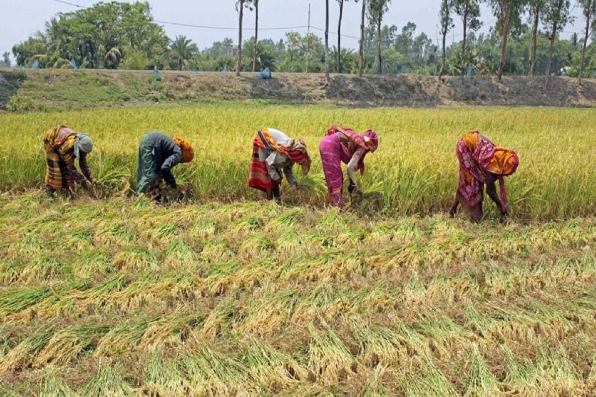 Farmers Cultivating Crops
